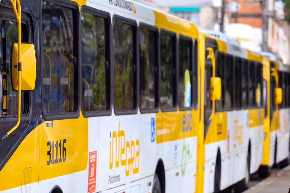 novos ônibus em salvador